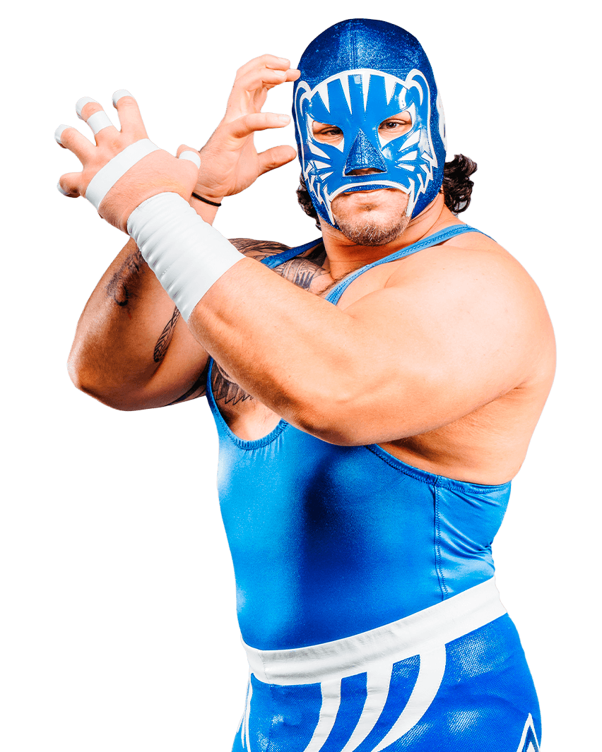 BLUE PANTHER JR.